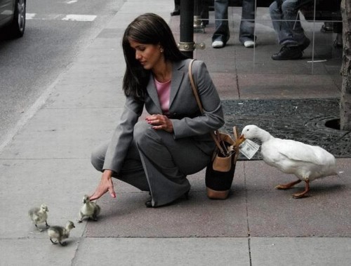 pickpocket