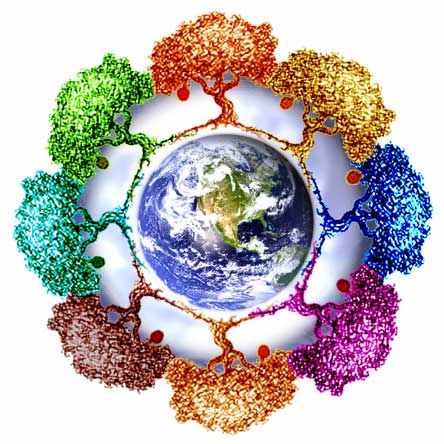 Eco