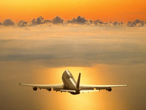 Flight