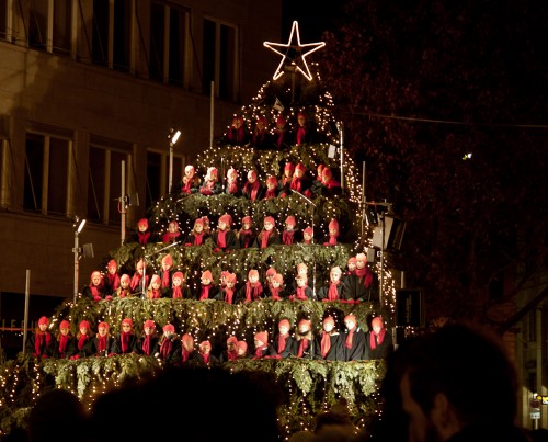 The singing tree