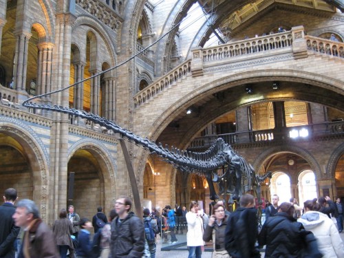 Natural History Museum – London