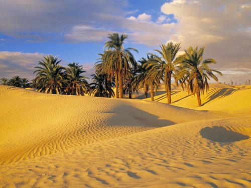 Tunis1